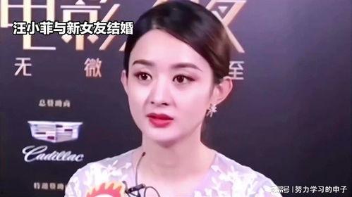 娱乐圈八卦爆料赵丽颖,娱乐圈再掀波澜